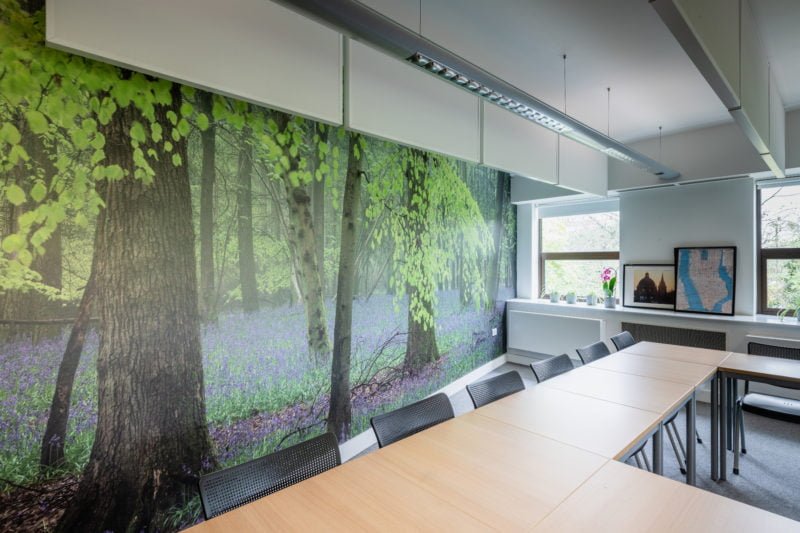 The Benefits of Biophilic Design in Schools Absolutely