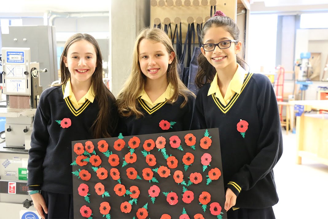 eco friendly Poppies remembrance sunday