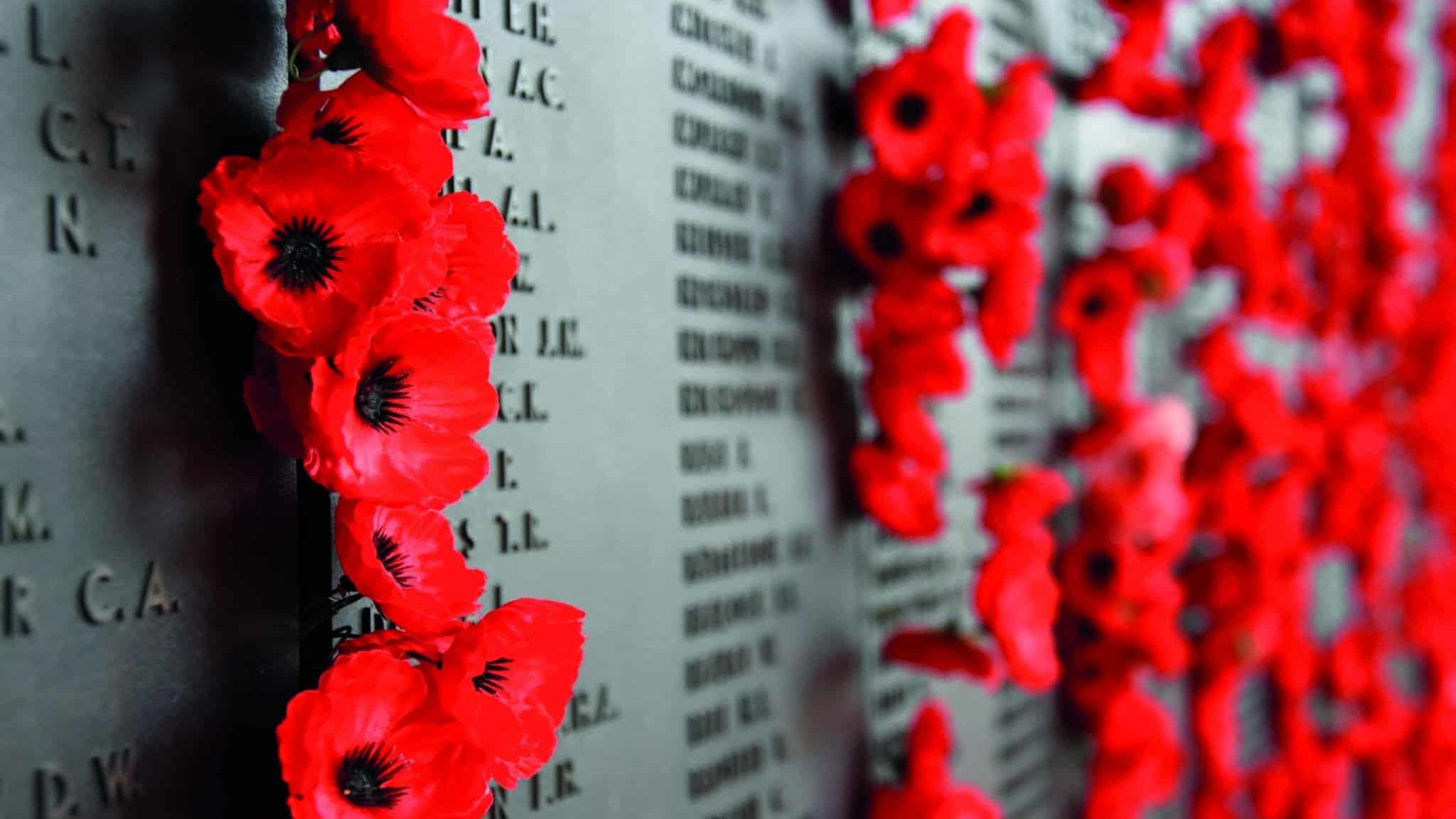 Royal British Legion leads Remembrance lessons