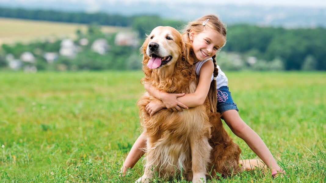 Parent power: Explaining death and loss to children