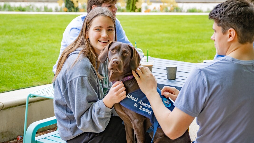 Why schools love pet therapy