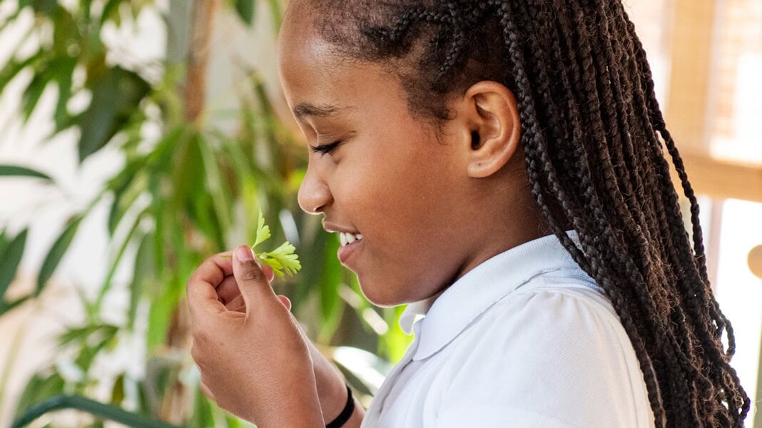 Growing movement – Hackney School of Food
