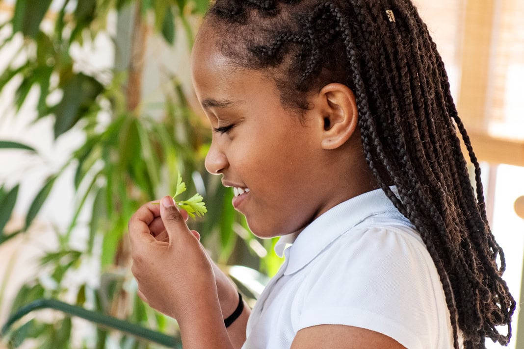 Growing movement – Hackney School of Food