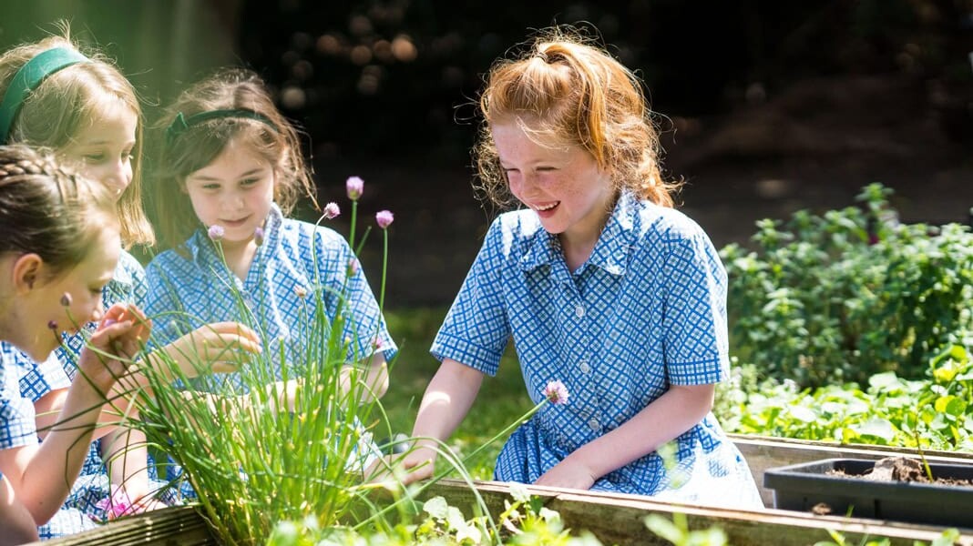Outdoor time – why school gardens are so important for wellbeing