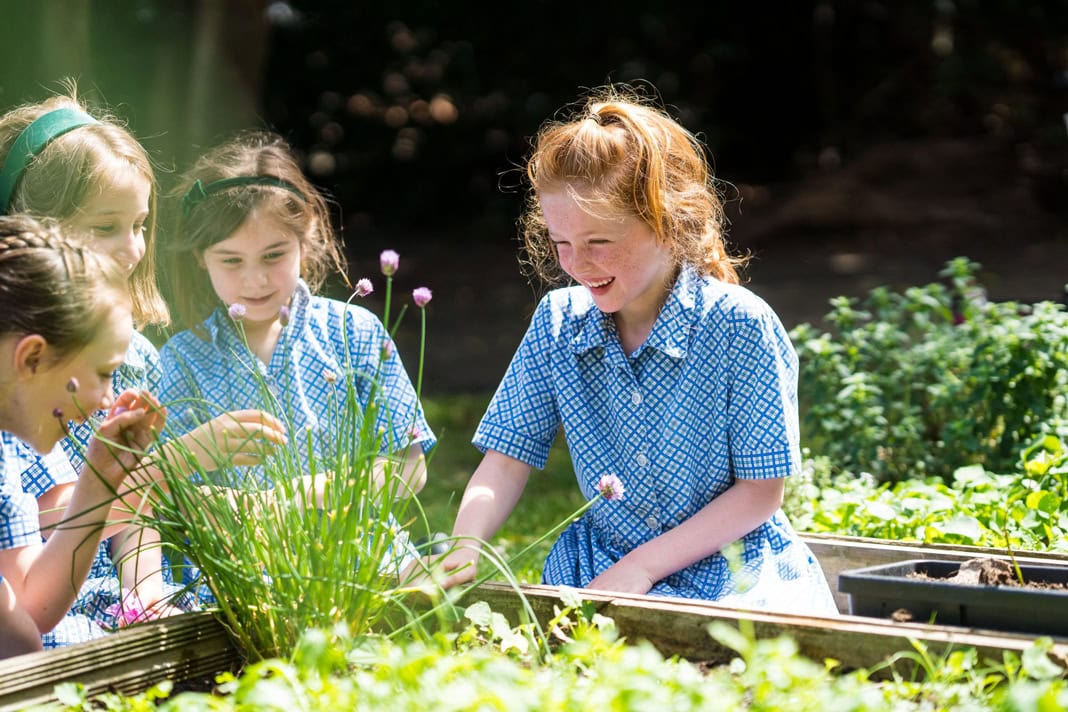 Outdoor time – why school gardens are so important for wellbeing