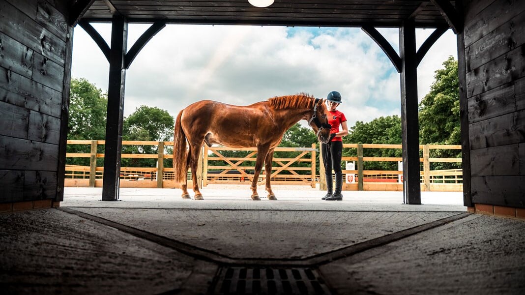 Equestrian lead appointment at New Hall School