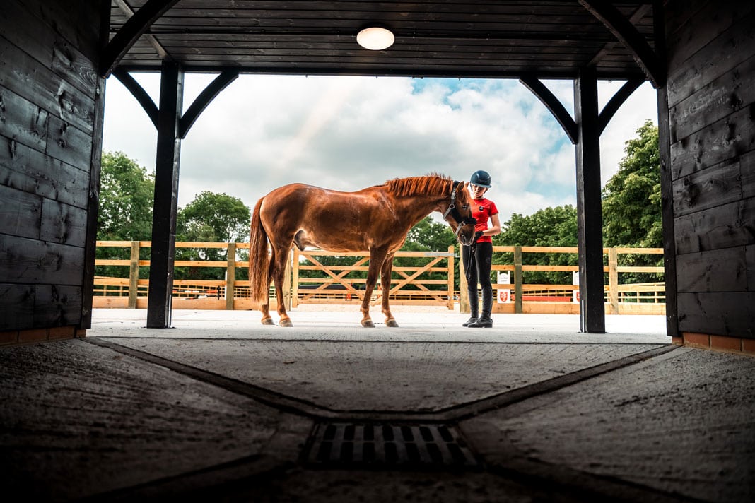 Equestrian lead appointment at New Hall School