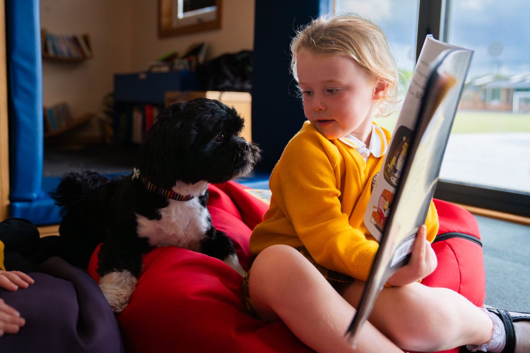 How animal magic brings joy to school days