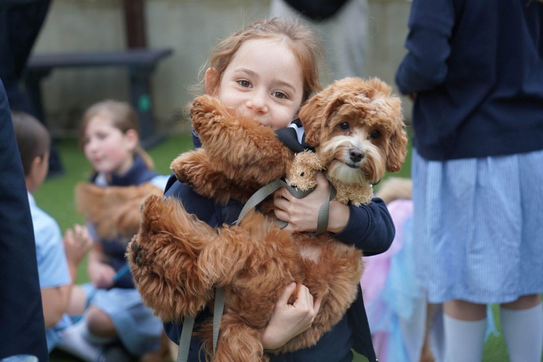 How animal magic brings joy to school days