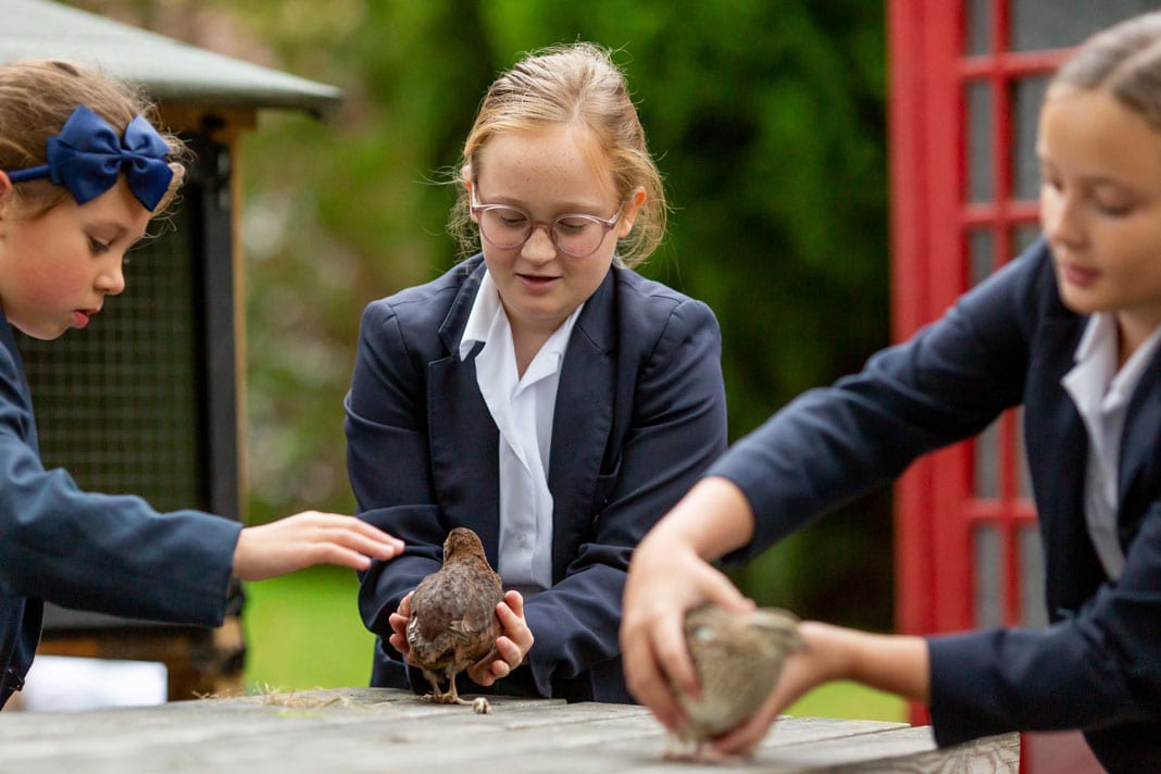 How animal magic brings joy to school days